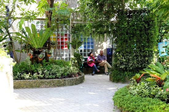 Bangkok Butterfly Garden and Insectarium